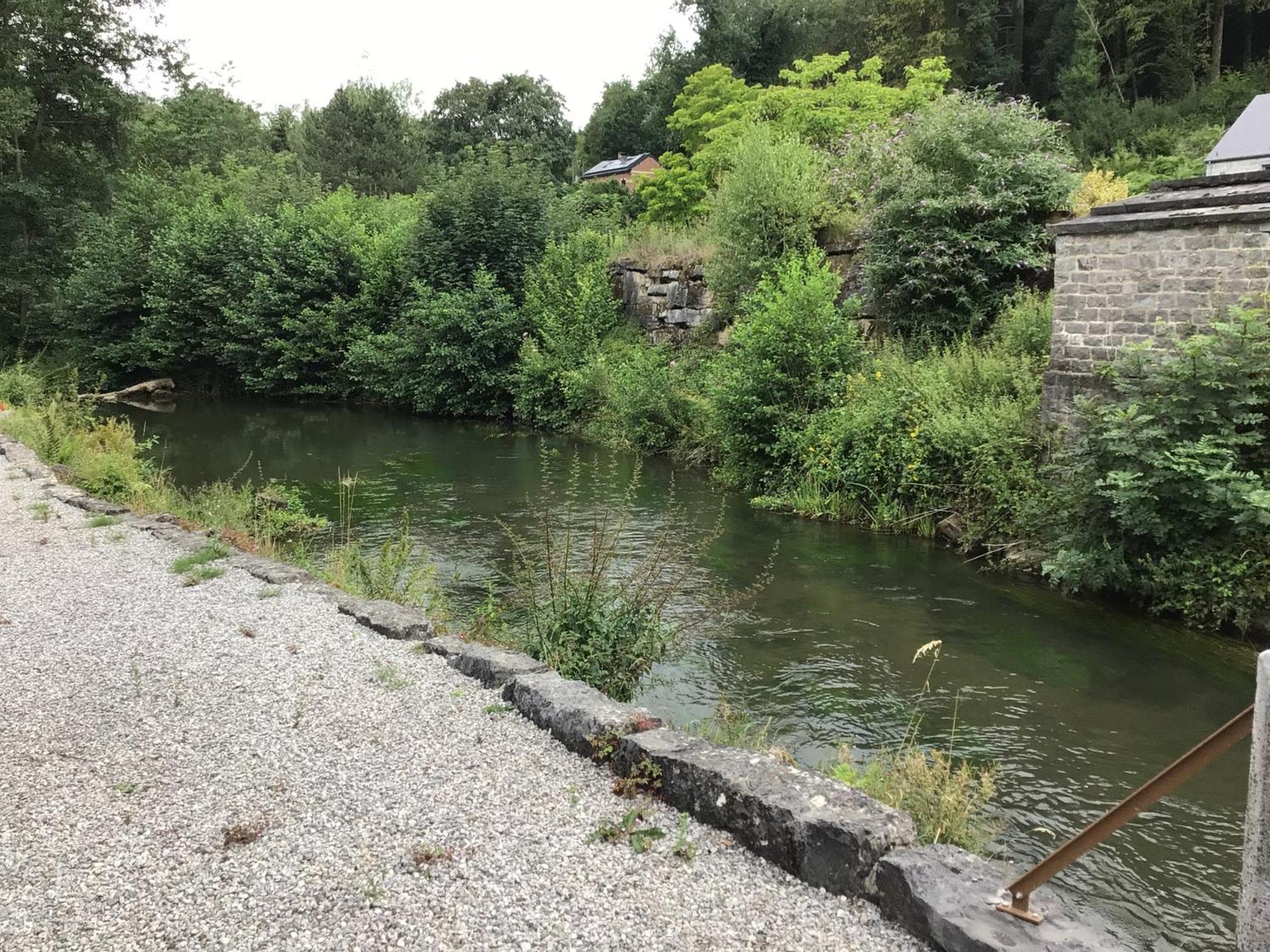 L'Eau Et La Pierre Villa Yvoir Eksteriør billede